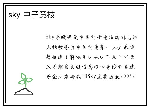 sky 电子竞技